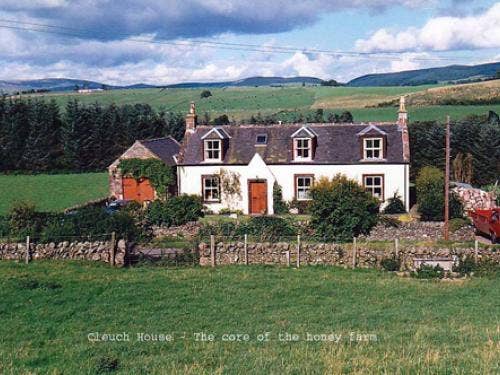 Scottish Blossom Honey 12oz