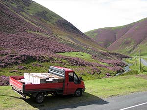 Scottish Blossom Honey 12oz