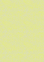 Inflorescence - Neon Collection - Fabric by the 1/4 Yard & Bundles