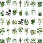 Plant Names - Fabric by the 1/4 Yard
