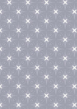 Where The Sky Dances Collection - Fabric by the 1/4 Yard & Bundles