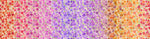 Omnificent Ombre Fabric by the 1/4 Yard & Bundles