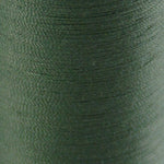 Coats & Clark 250 yds Dual Duty XP Thread