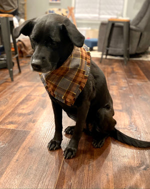 Dog Bandana Brown Inspired