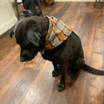 Outlander Inspired Tartan Bandanas for Kids, Adults, and Dogs