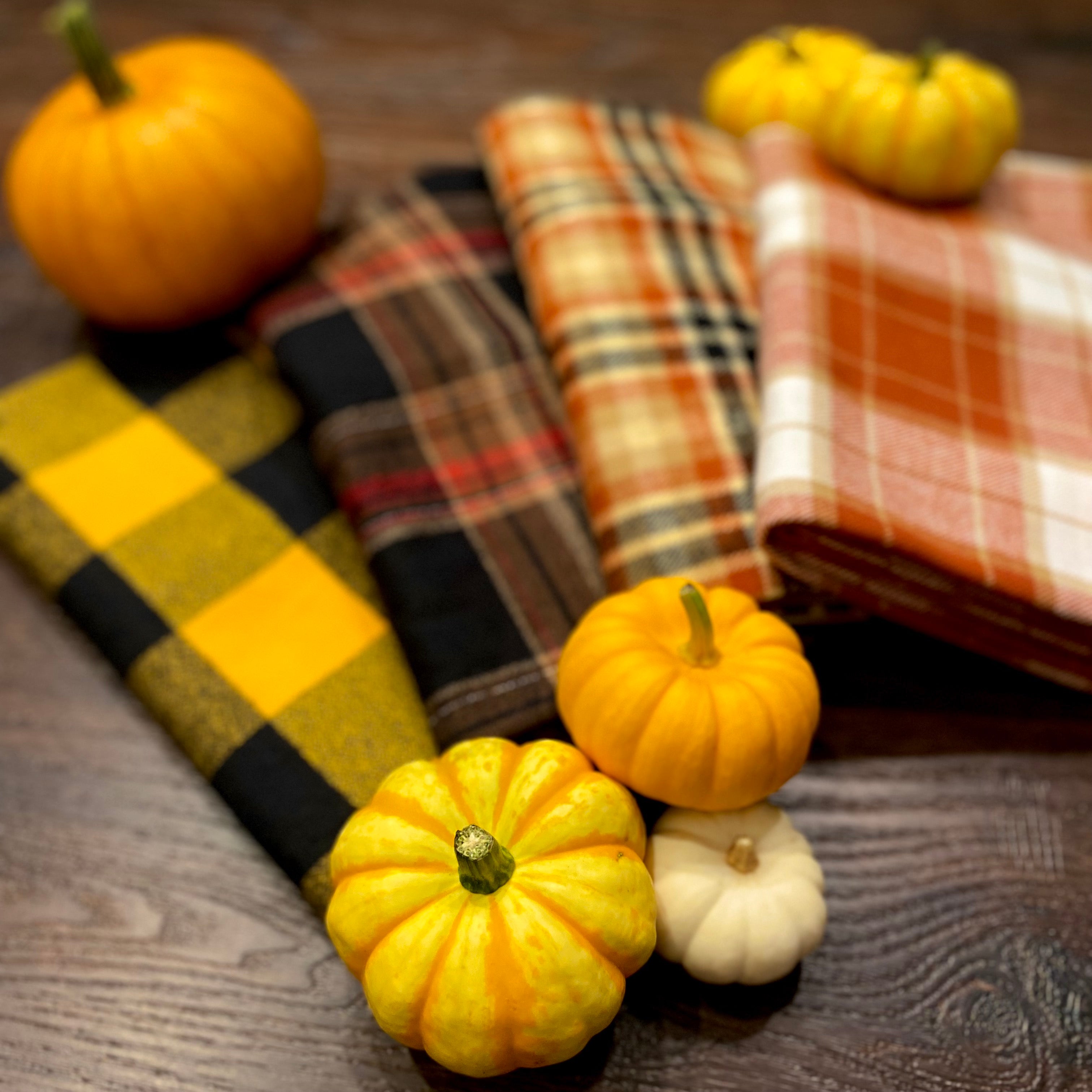 Pumpkin Pie Plaid - Fall Colors of Rusty Pumpkin Orange, Tan, and Whipped Cream White Plaid Infinity and Blanket Scarves